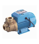 CEB 102 - 1" 230v Centrifugal Water Pump